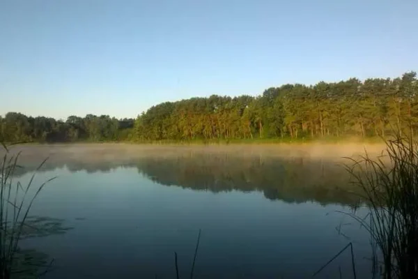 Spinningowe Mistrzostwa Koła – drugi termin 8 listopada nad Wieprzem