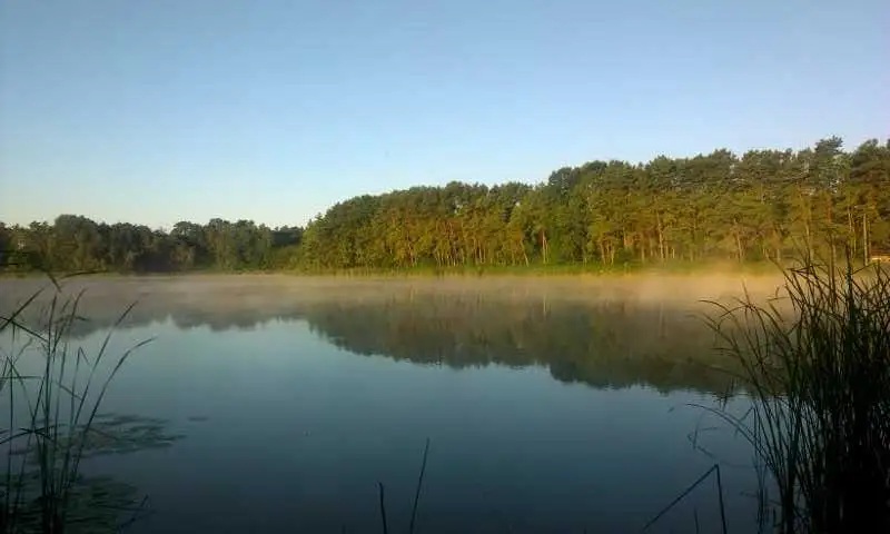 Spinningowe Mistrzostwa Koła – drugi termin 8 listopada nad Wieprzem