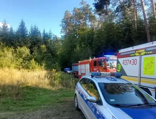 Franciszków: nieprzytomna osoba w lesie. Akcja służb ratunkowych