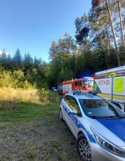 Franciszków: nieprzytomna osoba w lesie. Akcja służb ratunkowych