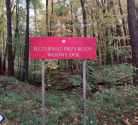 Uczniowie z Łopiennika Nadrzecznego i Jaślikowa na lekcji w rezerwacie Wodny Dół